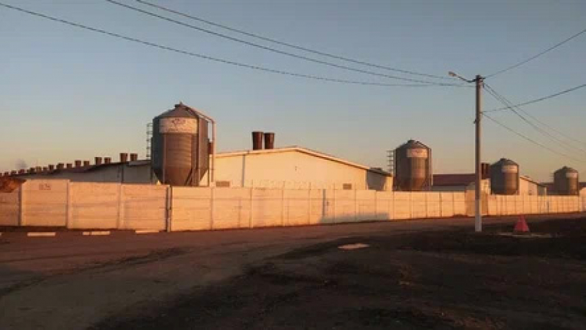 «Тамбовский бекон» возглавил белгородский бизнесмен