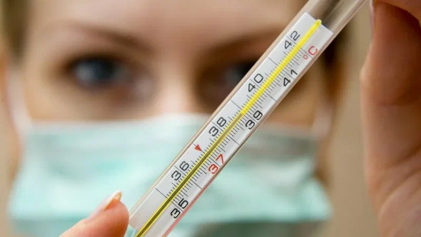 В Тамбовской области за неделю зарегистрировано 88 случаев «свиного гриппа»