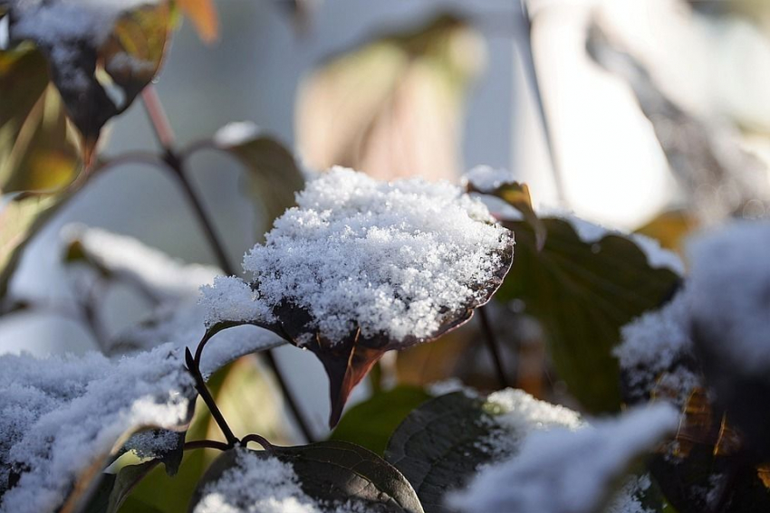 На следующей неделе в Тамбовской области ожидается первый снег