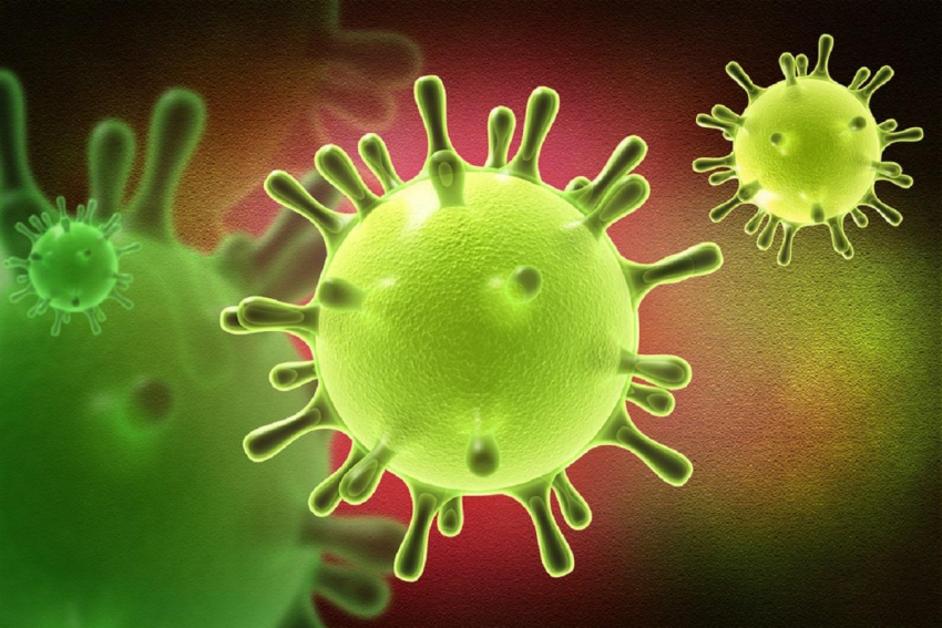 За минувшие сутки коронавирус обнаружили у 8 детей
