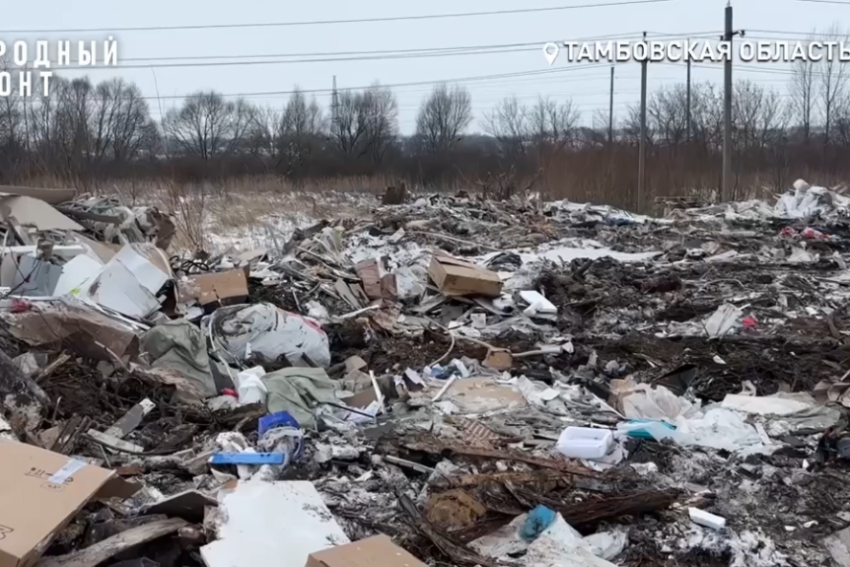 Под Тамбовом вновь заработала нелегальная свалка 