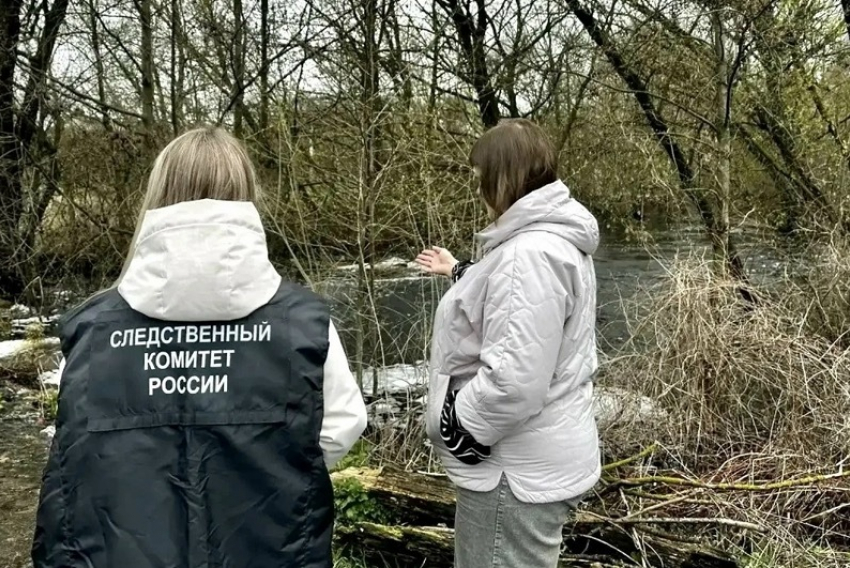 Власти начали проверку информации о загрязнении реки Мазовка в Тамбовском округе