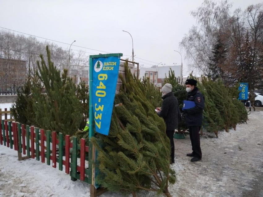 В Тамбове прошли рейды по нелегальным ёлочным базарам