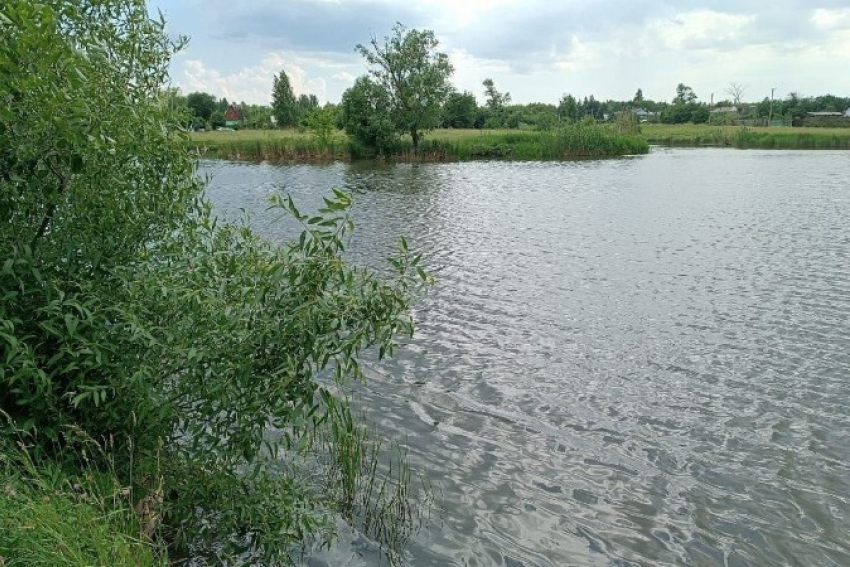 Из реки Лесной Воронеж в Мичуринском округе достали тело 70-летнего пенсионера