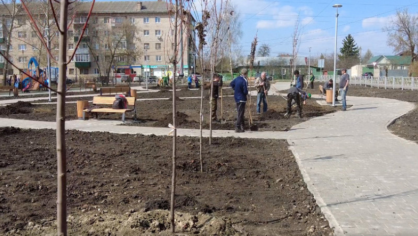 400 кустов бирючины и спиреи посадят в сквере на Полынковской в Тамбове