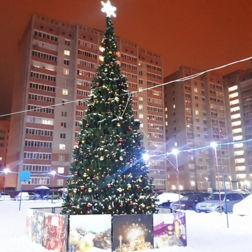 Около 100 новогодних ёлок установят во дворах Тамбова