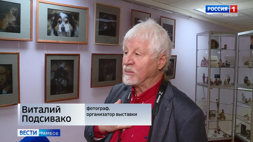 В Пушкинской библиотеке проходит фотовыставка собак из приюта “Право на жизнь”