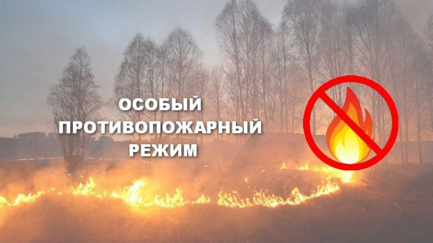 На ближайшие дни в Тамбовской области установлен особый противопожарный режим