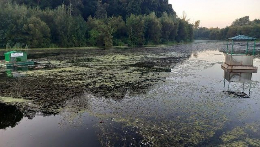 В Тамбове канализационные стоки вновь попали в реку Жигалка