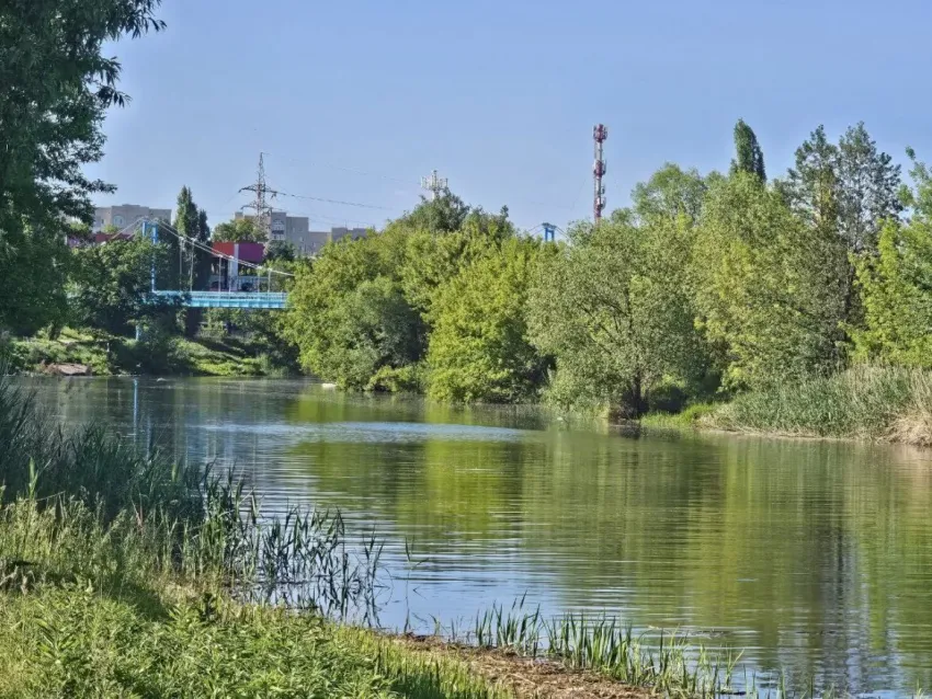 Власти обещают полностью оздоровить Цну к 2028 году