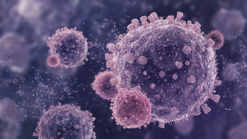 За последние сутки коронавирус выявлен ещё у 80 человек