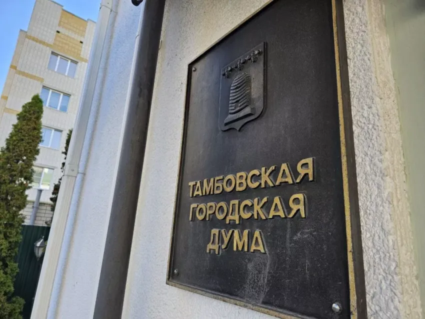 Место Любови Шаниной в Тамбовской гордуме займёт Дмитрий Борисов