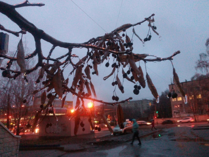 Ледяной дождь в Тамбове блокировал работу троллейбусов