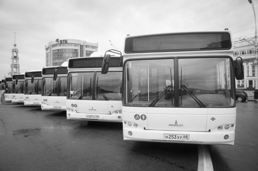 Власти планируют модернизацию сети городского транспорта в Тамбове 