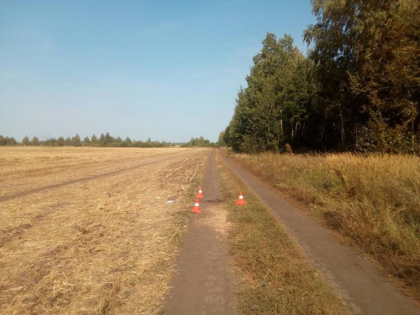 Труп мужчины обнаружен на проселочной дороге в Первомайском районе