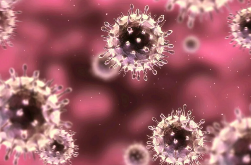 В Тамбовской области ещё у 79 жителей обнаружен коронавирус