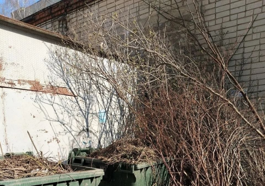 В Тамбове снова не могут наладить вывоз растительных отходов