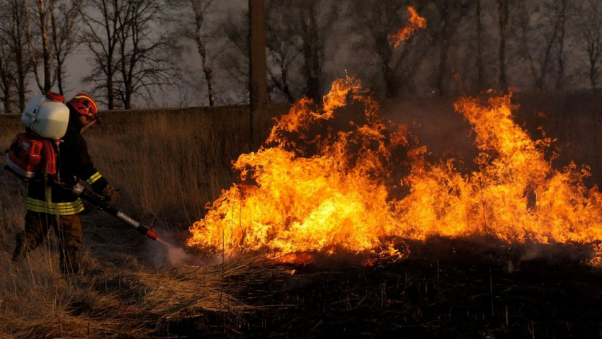 В Тамбовской области установлен особый режим противопожарной безопасности