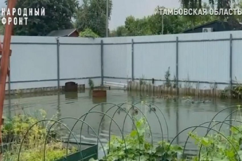 Тамбовские дачники жалуются, что их уже 10 лет заливает канализационными стоками