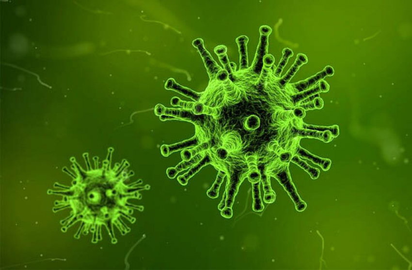 13 детей заболели коронавирусом за сутки в Тамбовской области