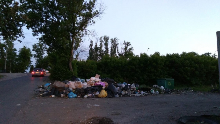 Остро стоит в Тамбове проблема вывоза мусора с территорий дачных товариществ 