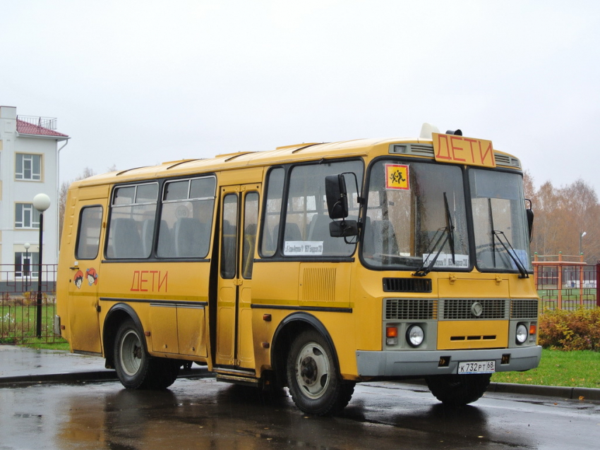 Для школьницы из Малой Зверяевки пустят школьный автобус