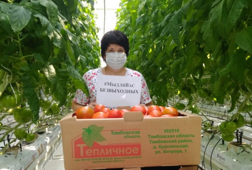 Новый бренд «Тамбовский томат» поучаствует в национальном конкурсе «Вкусы России» 