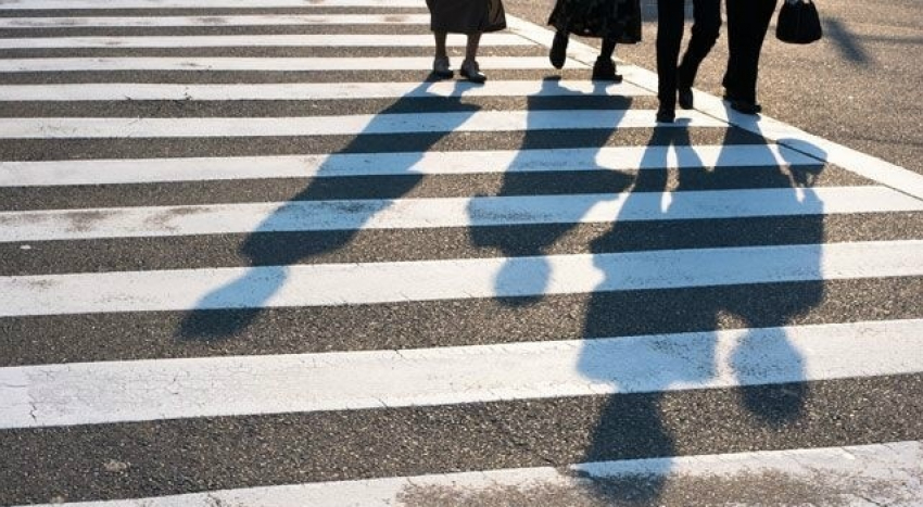 Вежливости тамбовских водителей у пешеходных переходов будет посвящен рейд ГИБДД 