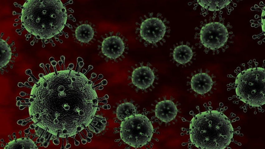Семеро детей заболели коронавирусом за последние сутки
