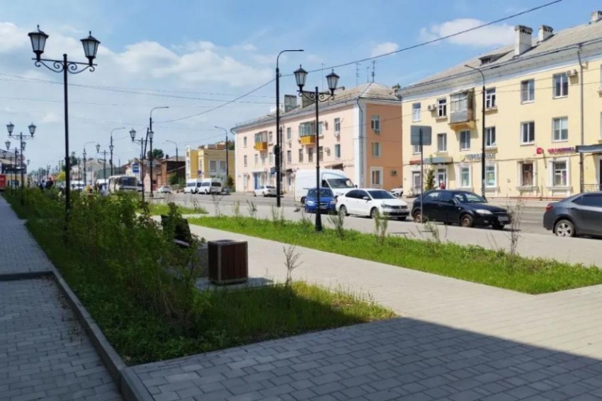 В Тамбове остались ещё 134 незаконных ларька
