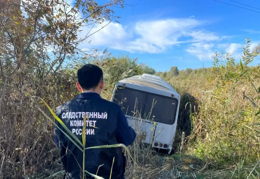 В Мичуринском округе пассажирский автобус слетел в кювет, пострадало несколько пассажиров