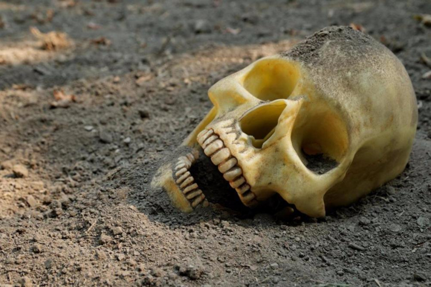 Человеческий череп обнаружили в Рассказовском районе