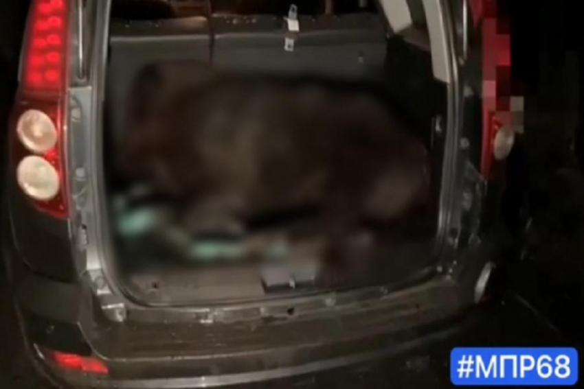 В Рассказовском округе задержали браконьеров, подстреливших трёх косуль