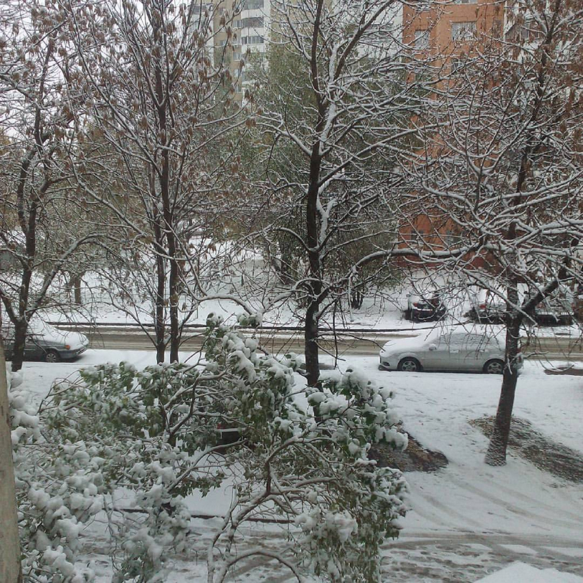 Сегодня тамбовчане могут узнать, какой будет июнь 