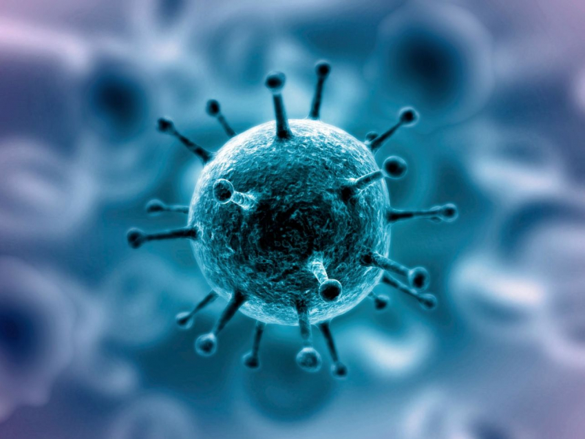 В Тамбовской области за сутки у 34 человек обнаружили коронавирус