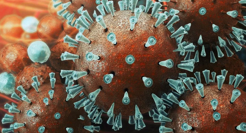 За сутки в Тамбовской области коронавирусом заболело ещё 83 человека