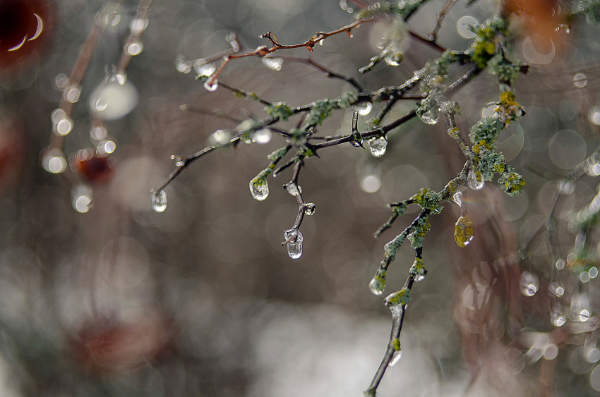 В Тамбове ожидается аномальное потепление