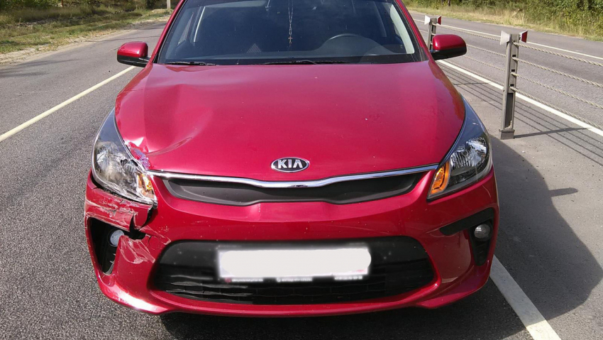 Девушка на KIA Rio догнала «девятку» по дороге в Рассказово