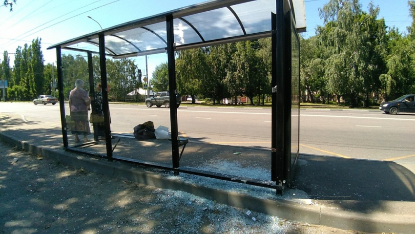 Антивандальное стекло не выдержало бутылочной атаки: еще одна остановка в Тамбове разбита хулиганами