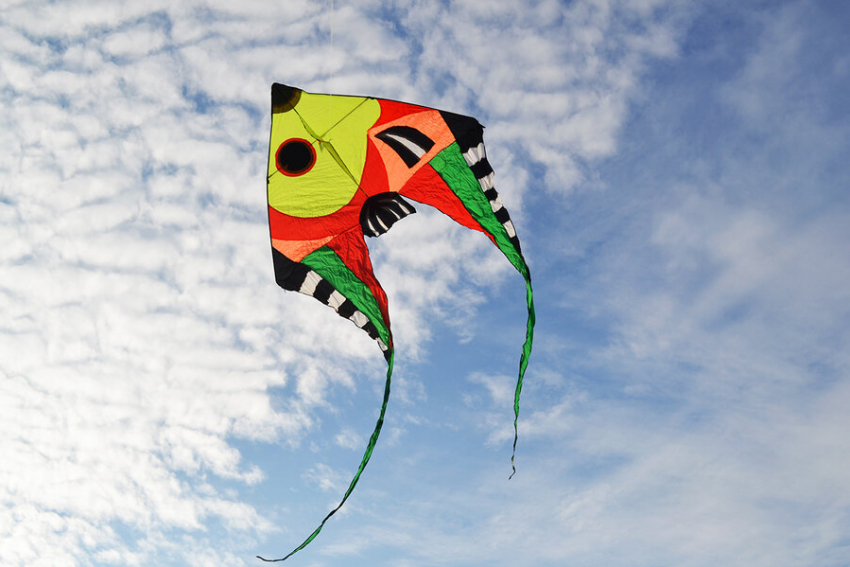 В день выборов в Тамбове пройдёт фестиваль-конкурс воздушных змеев