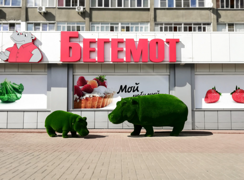 Владелец сети магазинов «Бегемот» Дмитрий Толстых: «Мы стремимся каждый день повышать качество продукции и обслуживания»