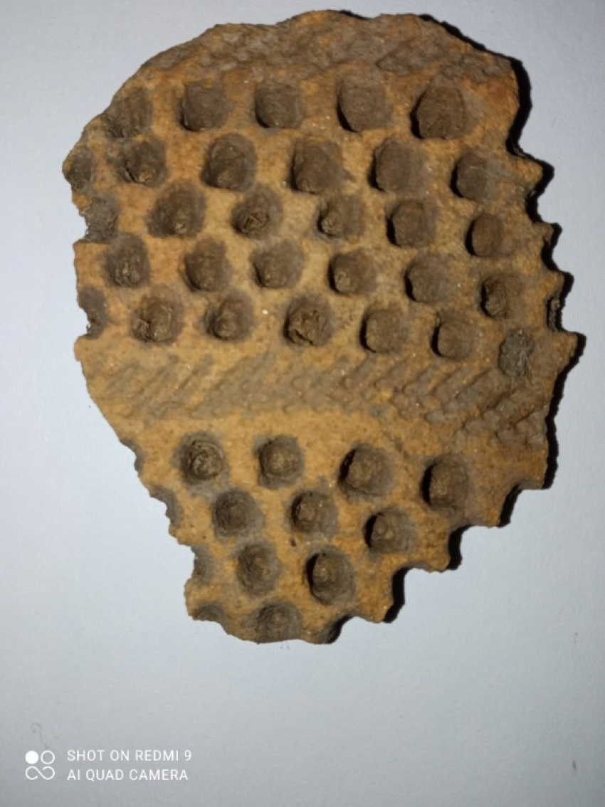 Исчезнувшие следы 3. Археология Тамбов. Керамический язык. 3200 До нашей эры. Фото находок в Тамбовской земле.