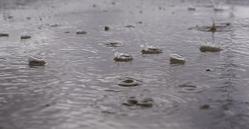 К концу рабочей недели в Тамбове ожидается дождь и потепление