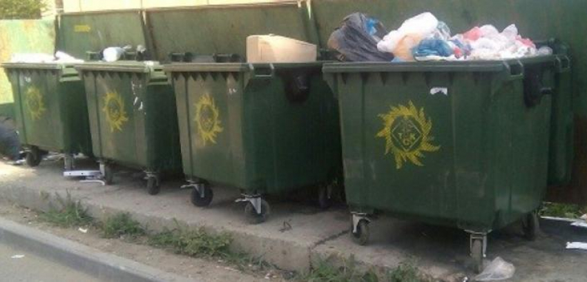 Работа тамбовского мусорного оператора признана успешной в докладе ОНФ президенту 
