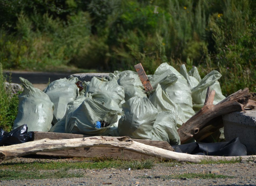 В Тамбовской области провели 80 субботников по уборке береговых территорий