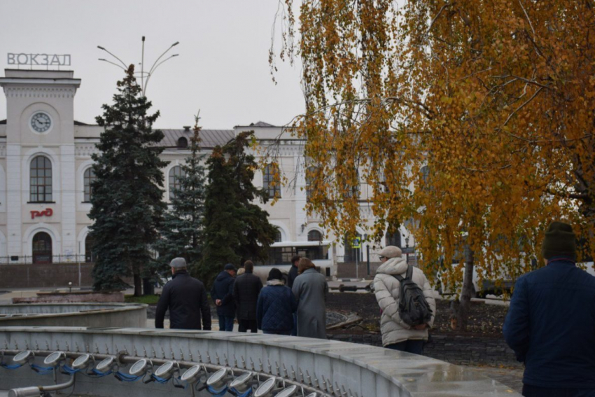На Привокзальной площади Тамбова спилят аварийные ели и заменят на молодые