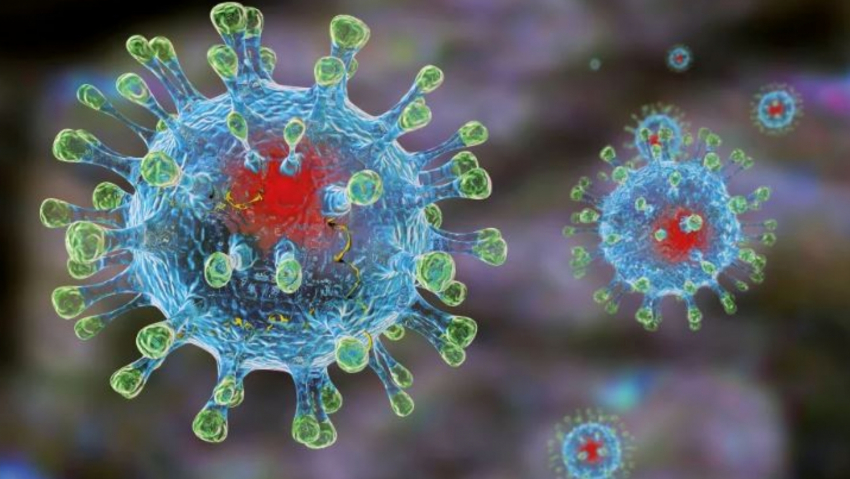 В Тамбовской области за сутки коронавирус выявлен у 77 человек
