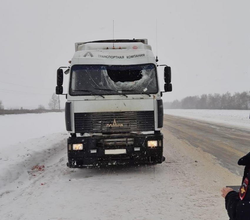 Лобовое стекло и голову водителя разбил кусок льда, отлетевший от встречной машины 