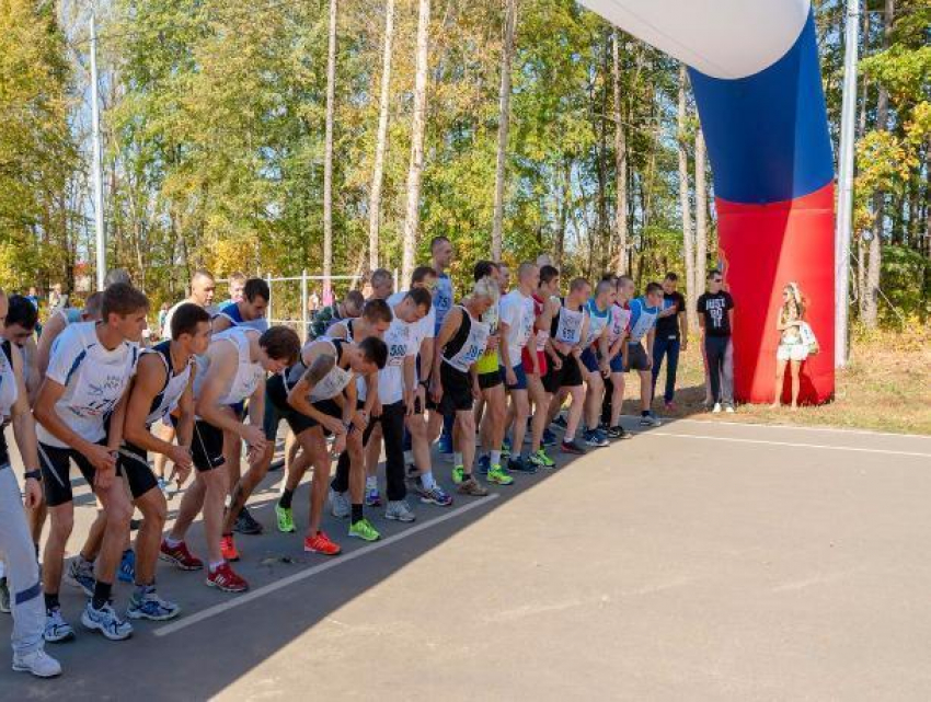 Спортивные чиновники области приняли участие в видеоконференции с Минспортом 