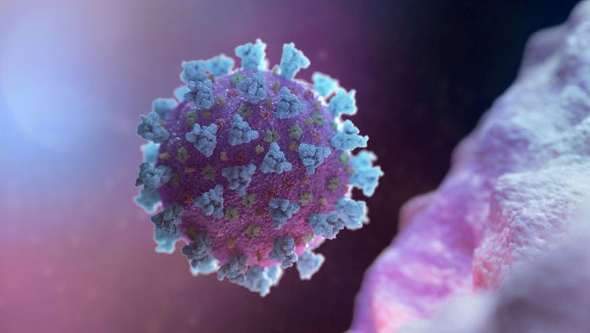 В Тамбовской области выявили 378 человек заболевших коронавирусом за последние сутки 